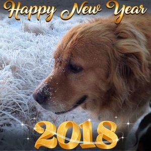 Meet your Posher, Jj